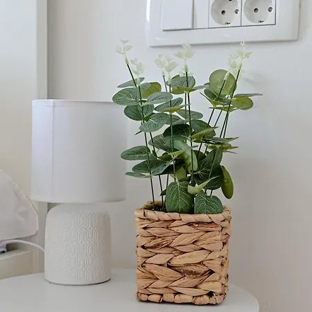 Apartman Iva
